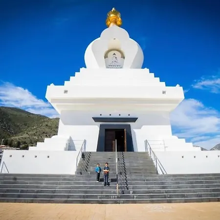 Higueronrentals El Dado *