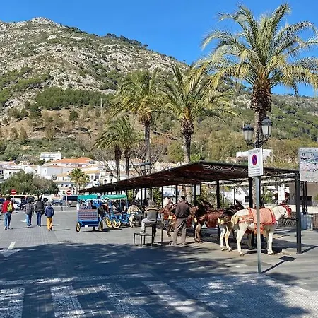 Higueronrentals El Dado