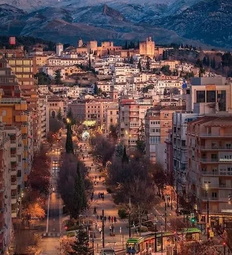 Higueronrentals El Dado *