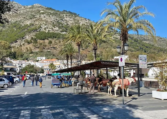 Higueronrentals El Dado